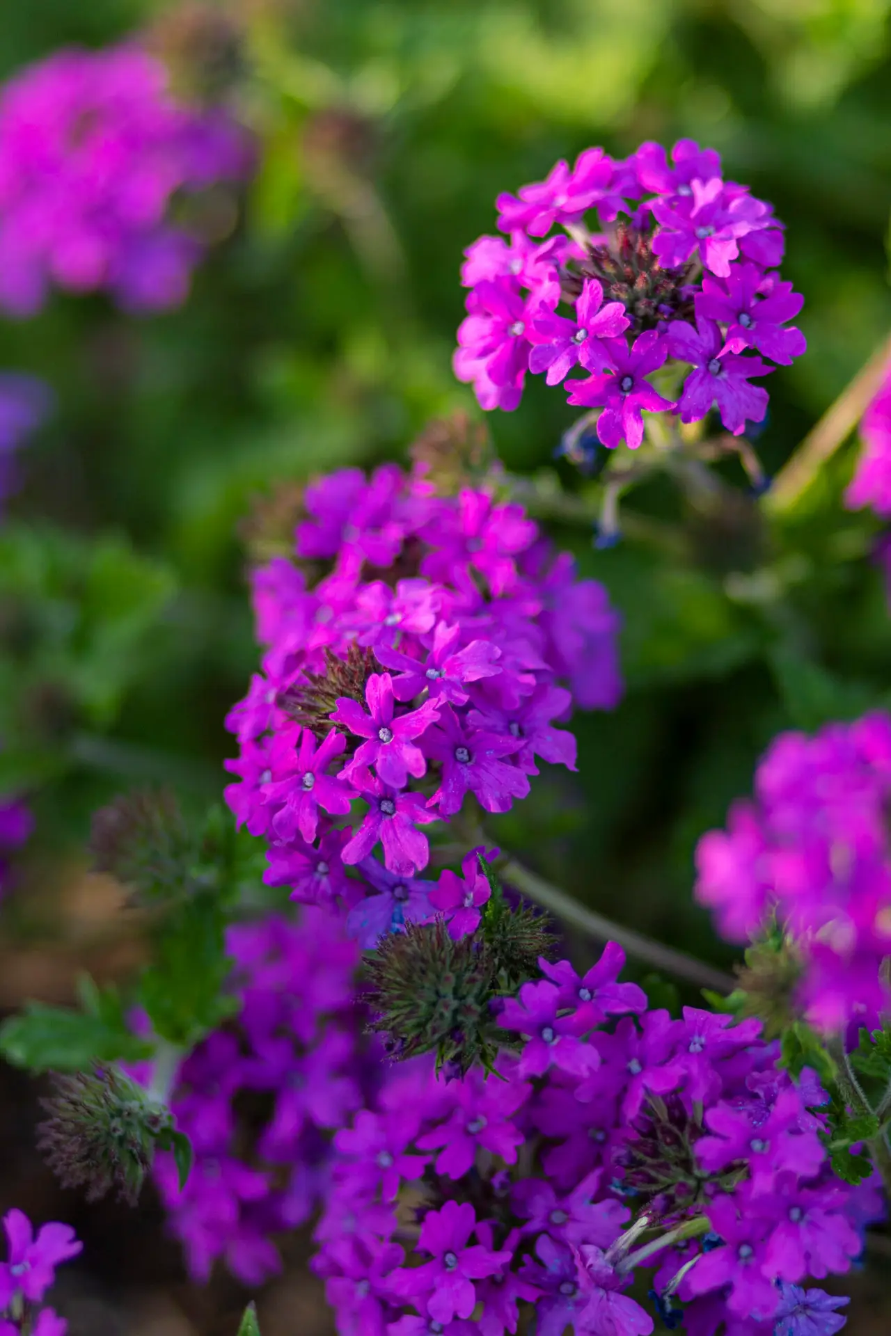 15-Minute Custom Tailored Meditation