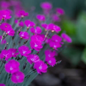 60-Minute Custom Tailored Meditation